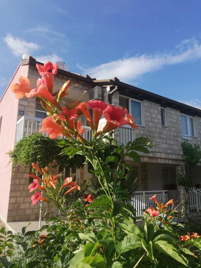 Apartmani Danica Orebic Exterior photo